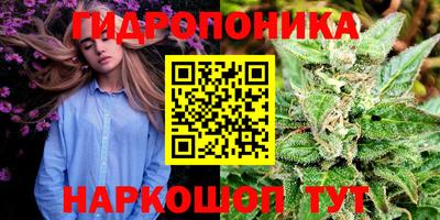 jwh Кимры