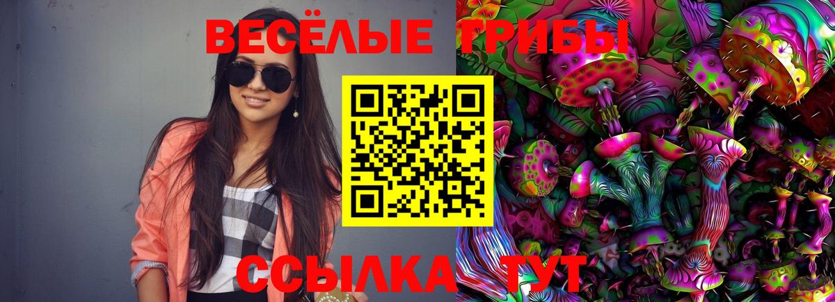 Галлюциногенные грибы Magic Shrooms  Галлюциногенные грибы мицелий  Киселёвск  Вход с VPN 